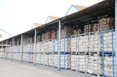 一棵樹、一塊板、一頭蒜,邳州現(xiàn)代農(nóng)業(yè)這篇文章大有所為-財(cái)經(jīng)頻道-手機(jī)