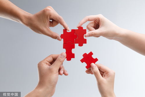 國(guó)泰君安2023年業(yè)績(jī)回顧 營(yíng)收凈利雙降下的穩(wěn)健分紅與代理記賬業(yè)務(wù)展望