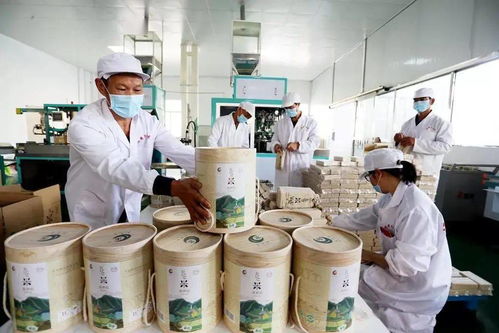 谷香飄萬(wàn)里，增收靠大米 大額資金如何助力產(chǎn)業(yè)騰飛