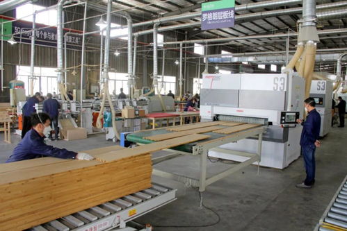 邵武 一筆大額資金的民生賬本與高質量發展探索